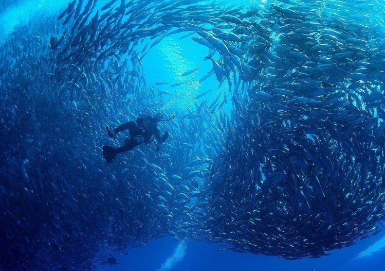婚姻介绍所可以办理个体营业执照吗?税是多少?游戏画面