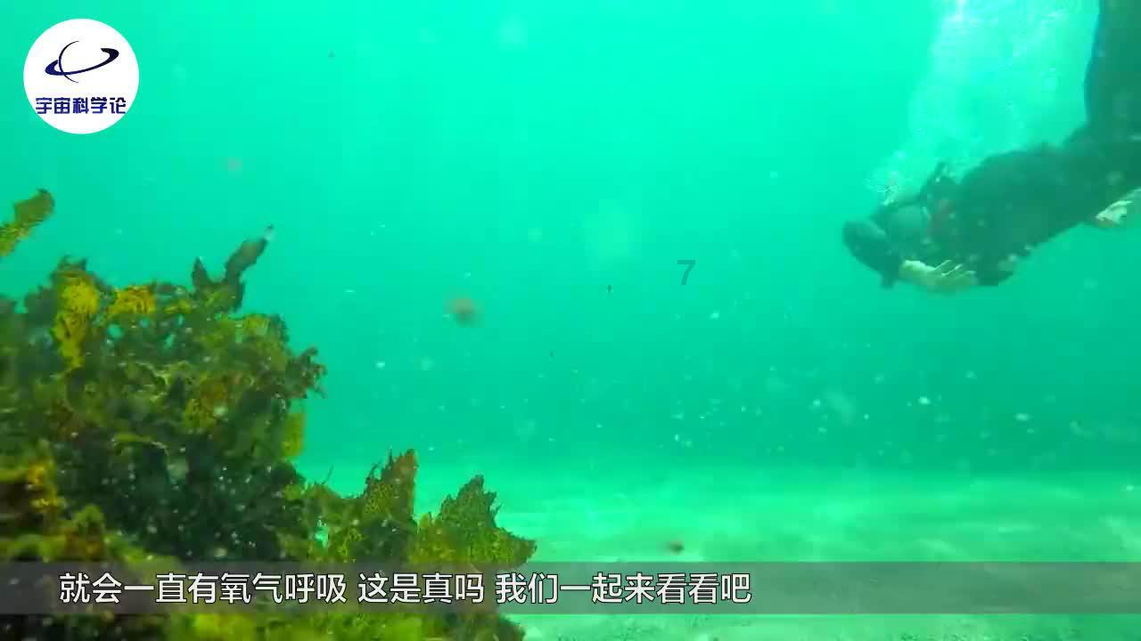 失落的星球3